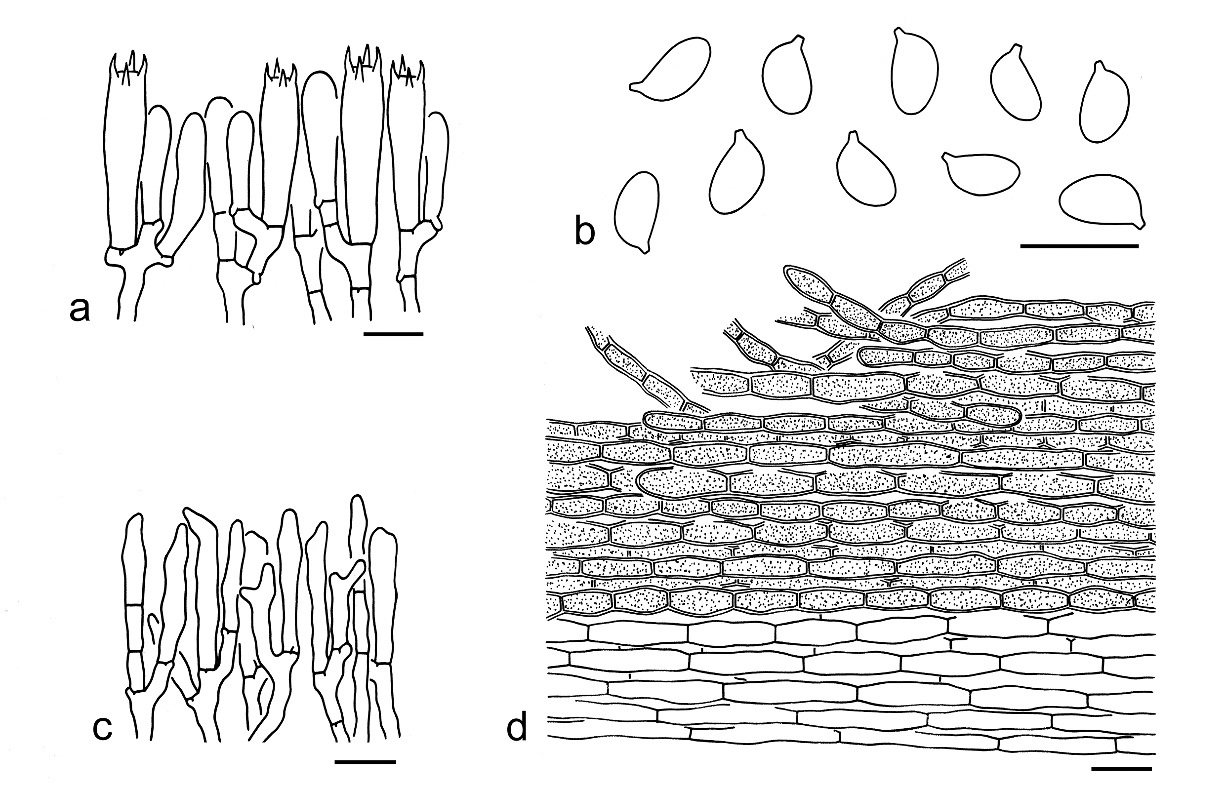 Figure 90